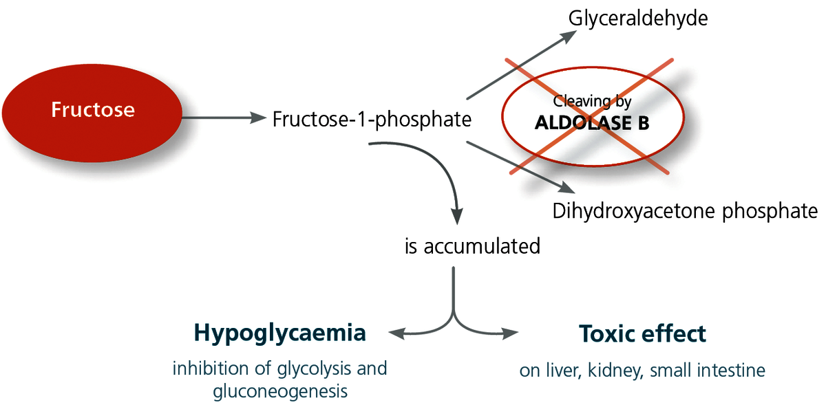 Fructose intolerance