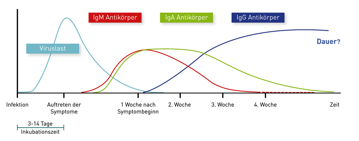Wie Lange Bleibt Fluconazol Im Körper www.imd-berlin.de
