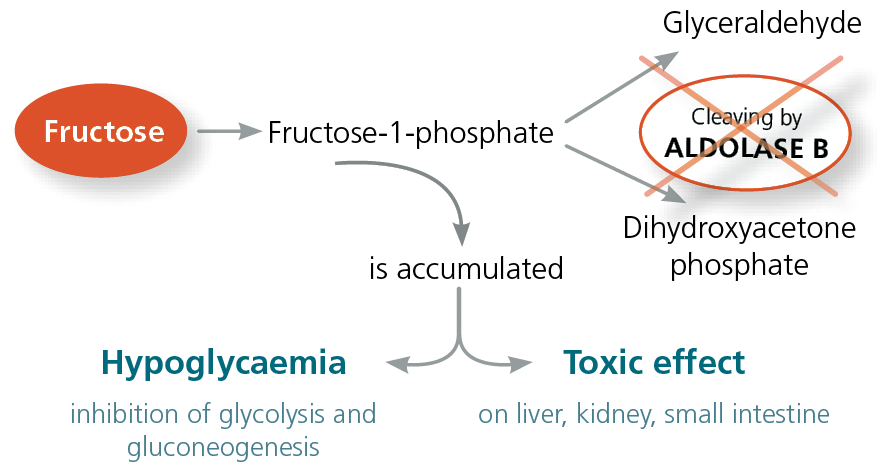 205 Hereditary fructose intolerance (HFI)