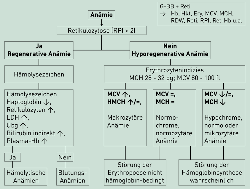 ebook system