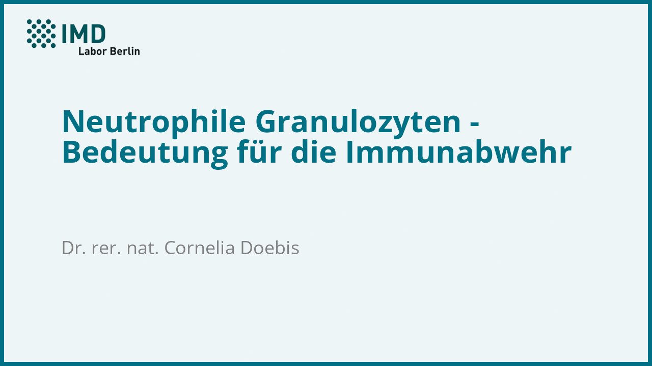 Neutrophile Granulozyten - Bedeutung für die Immunabwehr